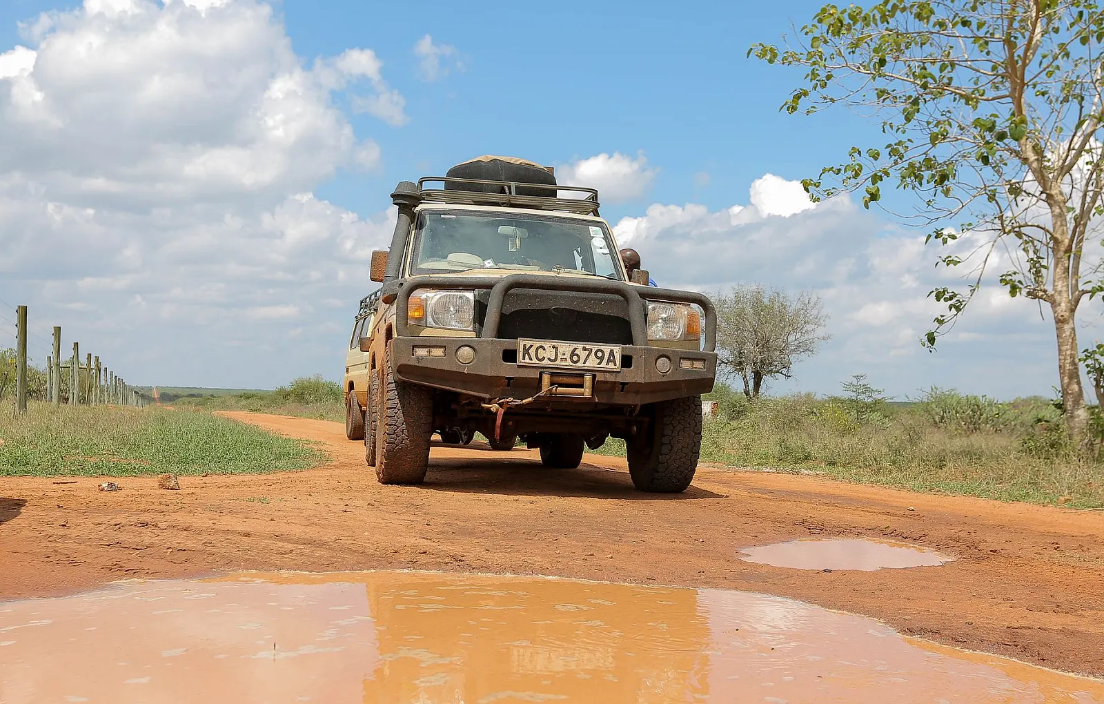 Kenya vs Tanzania for a First Safari