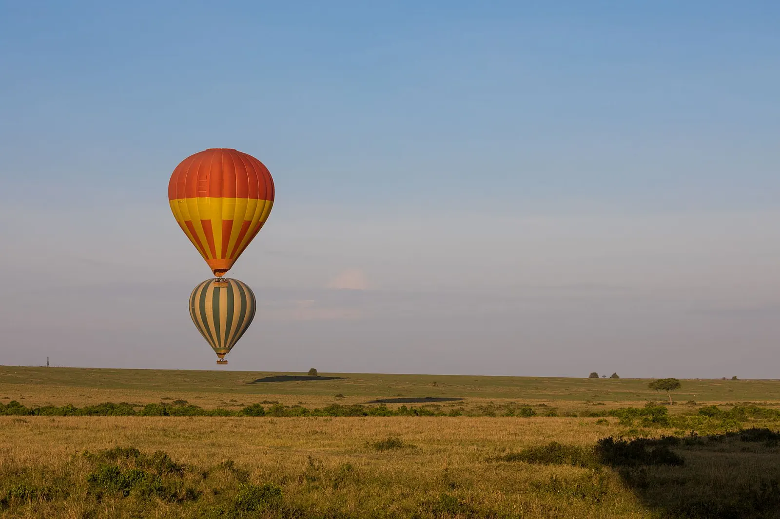 Hot air balloons floating over the Maasai Mara savannah during sunrise in Kenya.