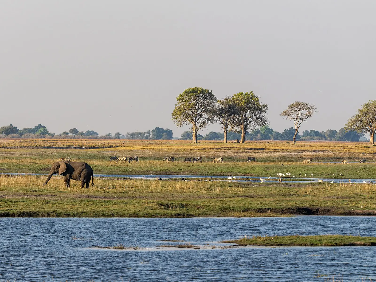 Chobe Forest Reserve, above the Chobe River floodplain near Ngoma, western Chobe
