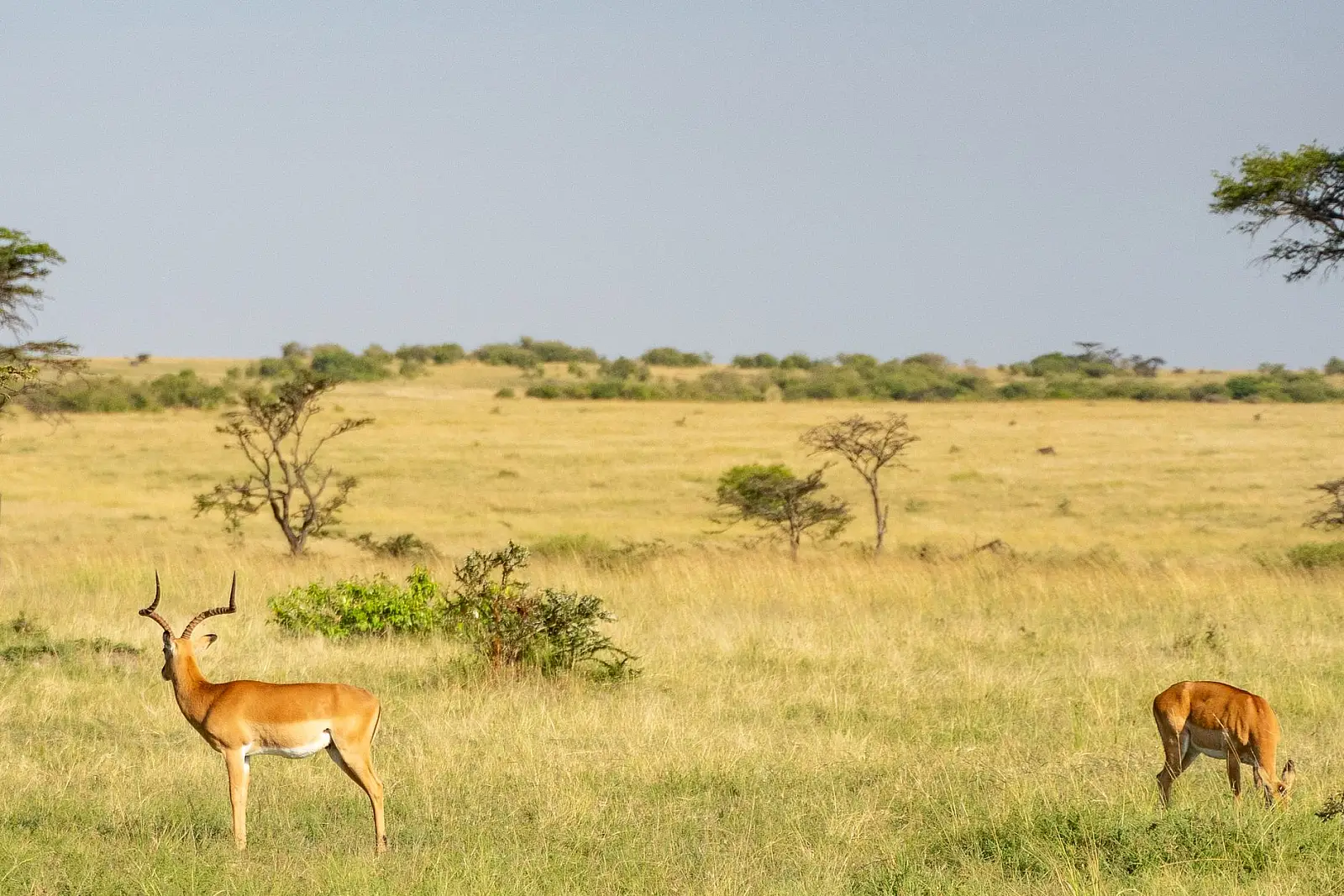 Talek River, on the boundary of the Maasai Mara National Reserve, Narok County
