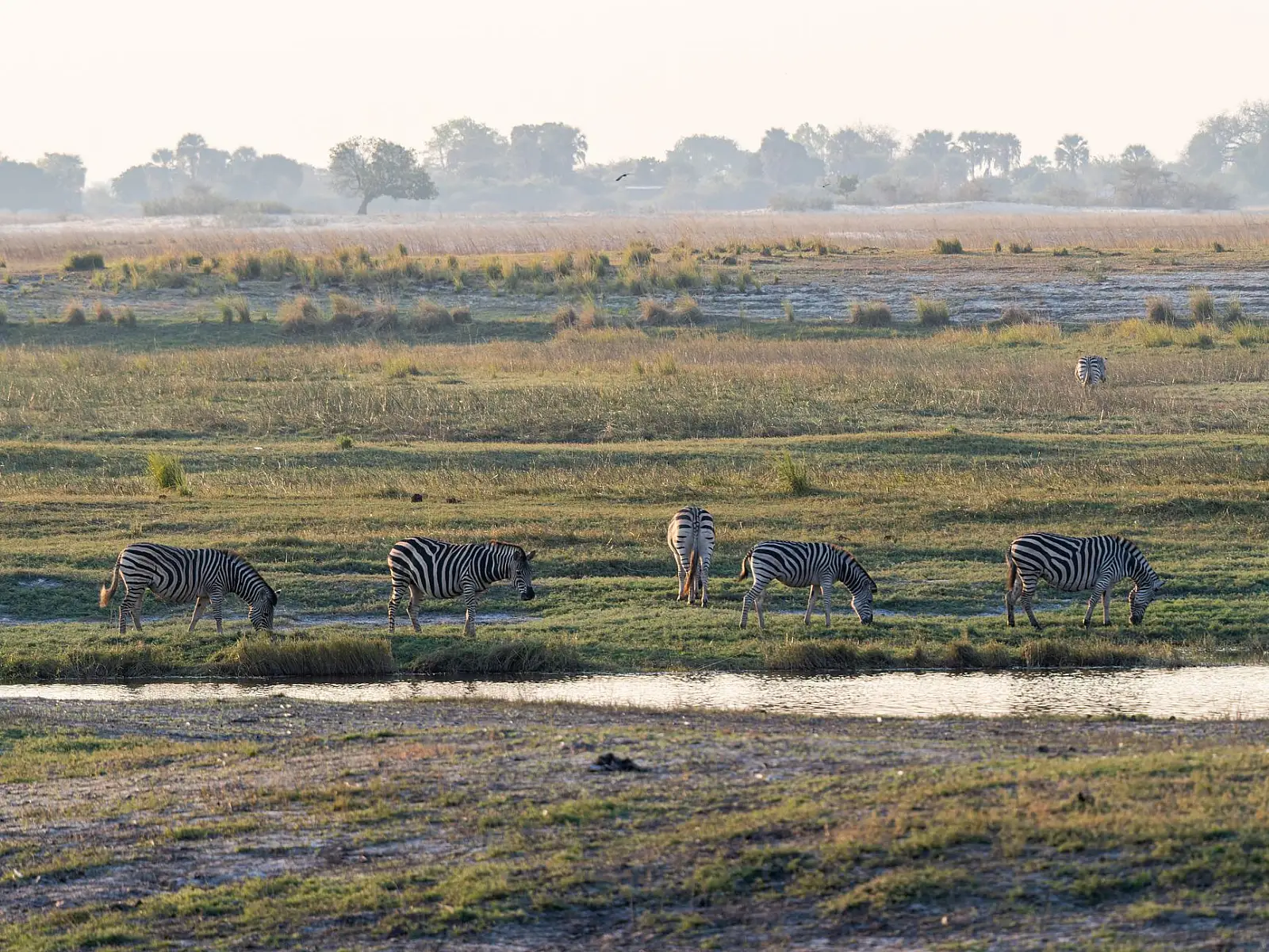 Private concession on the Gomoti river system, south-eastern Okavango Delta