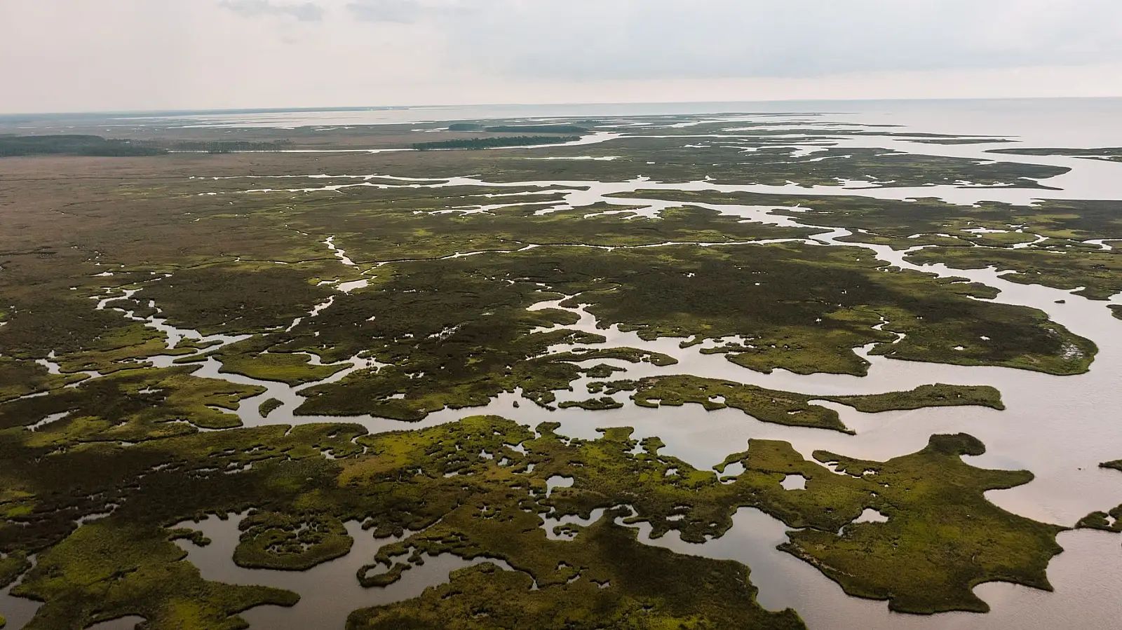 Duba concession, northern Okavango Delta