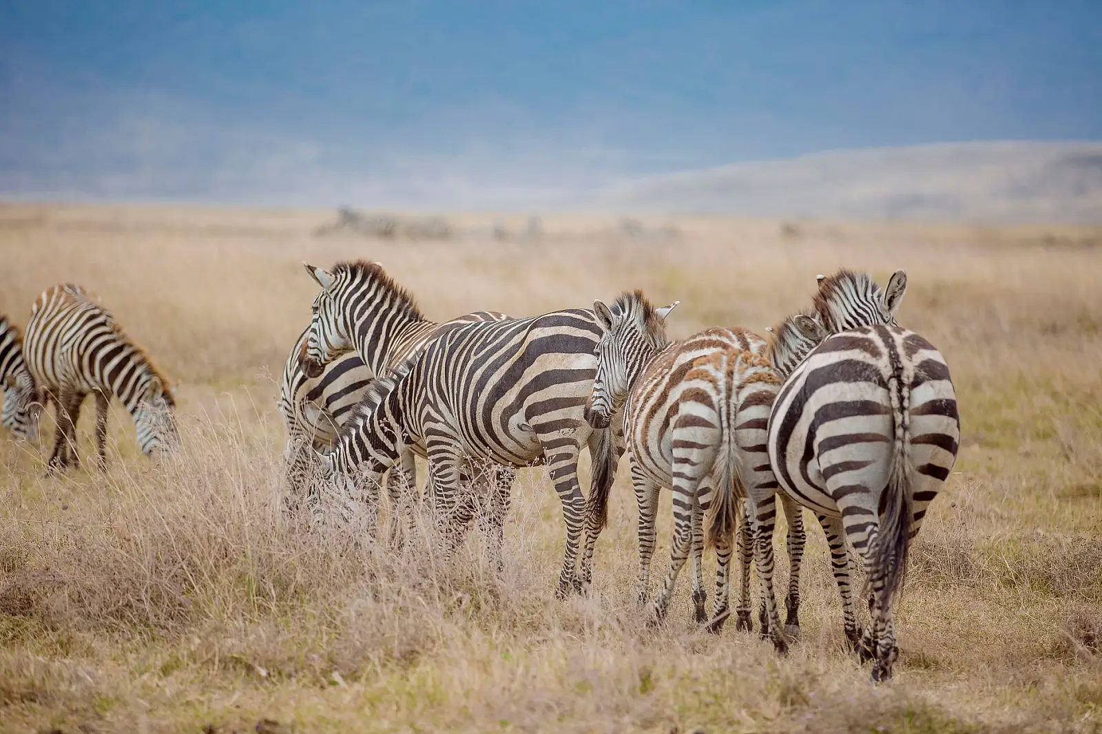 Singita Grumeti Reserve, overlooking the Grumeti River, western Serengeti ecosystem
