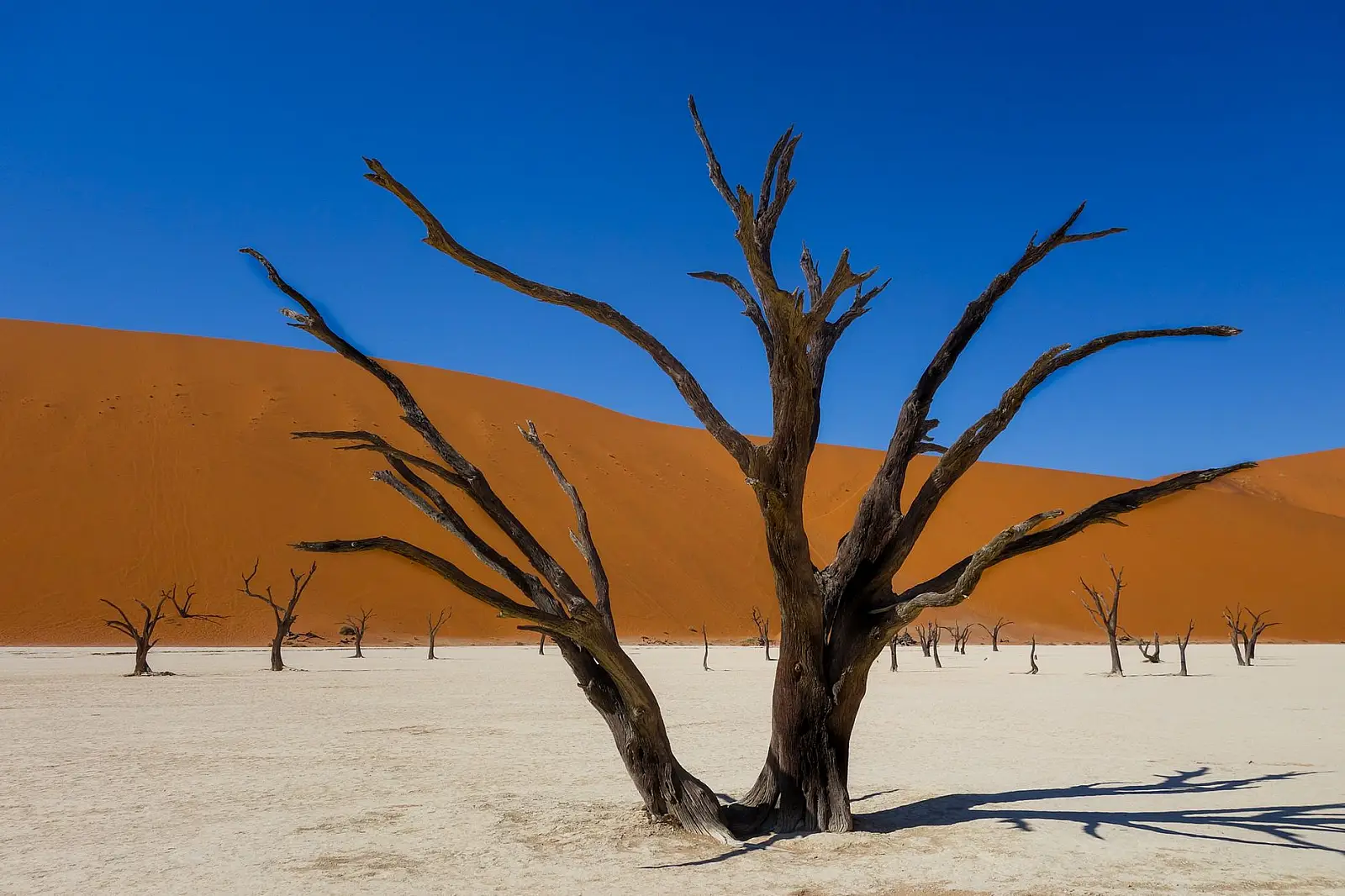 Lower Hoanib River, Kunene Region, on the boundary with Skeleton Coast National Park