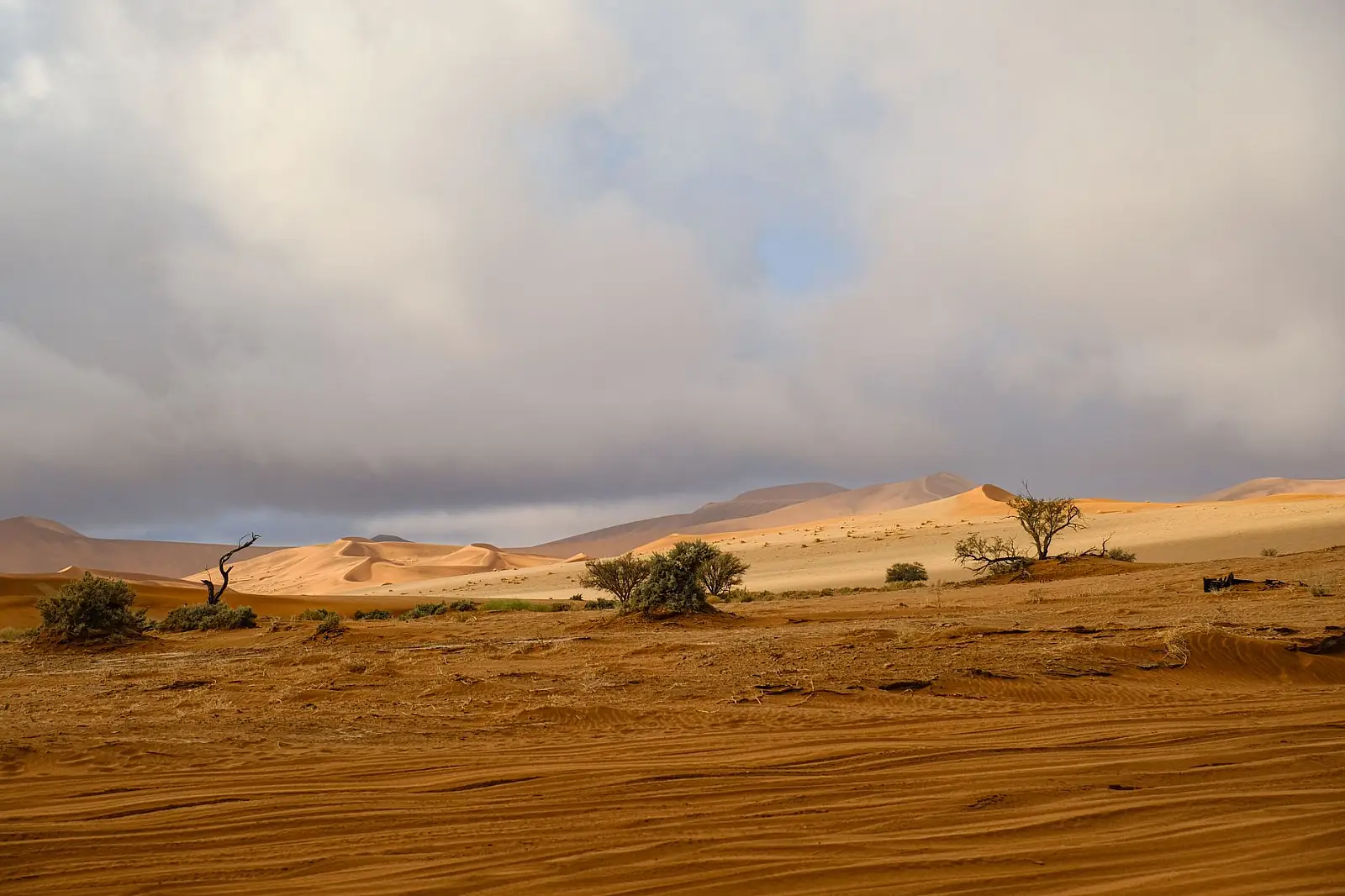 Kulala Wilderness Reserve, bordering Namib-Naukluft National Park, Sossusvlei