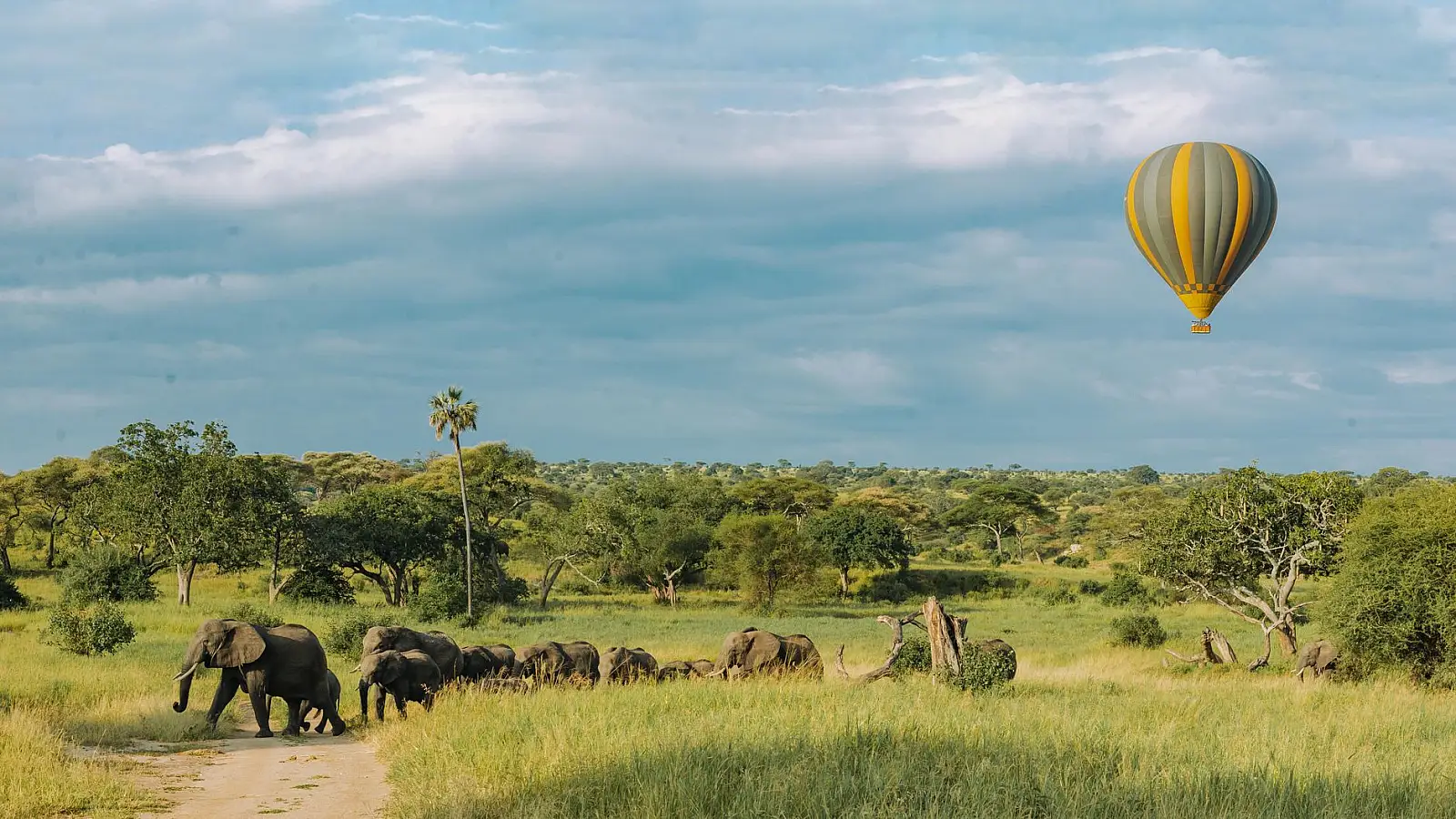 South-eastern Tarangire National Park, by the Silale Swamps