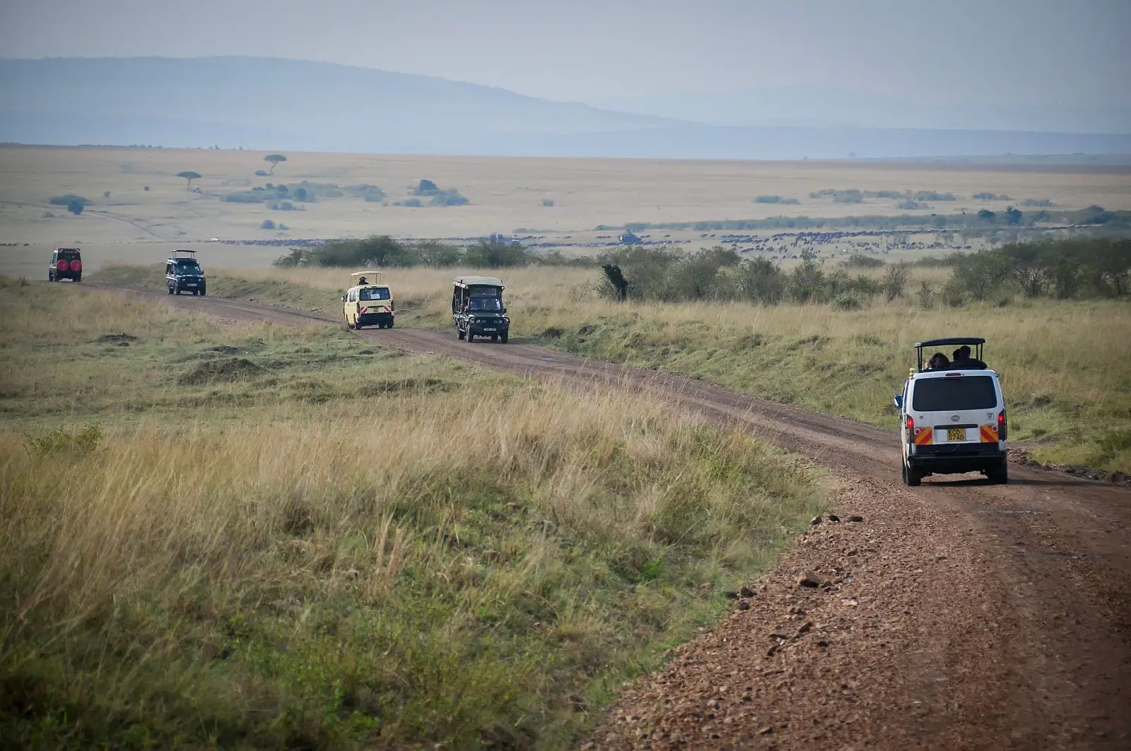 Captivating view of a safari in Serengeti with off-road vehicles exploring the vast savanna landscape.