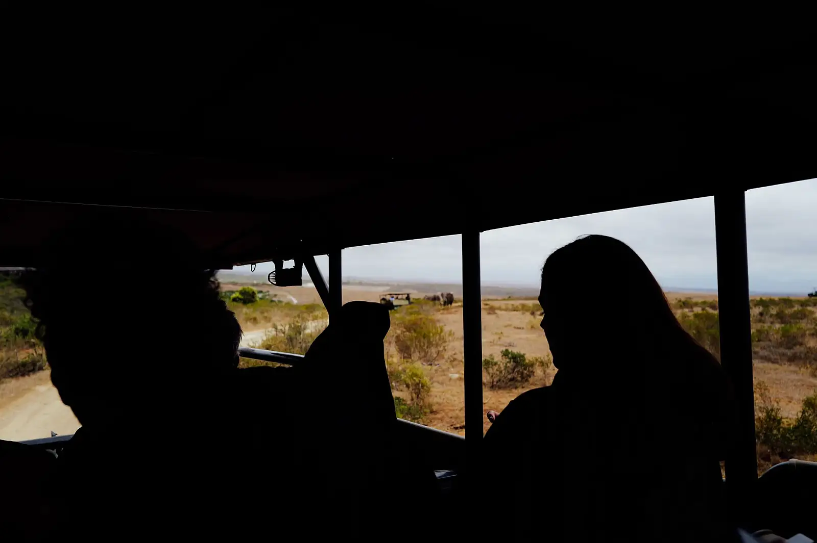 Silhouette of tourists on a safari viewing wildlife in an open vehicle.
