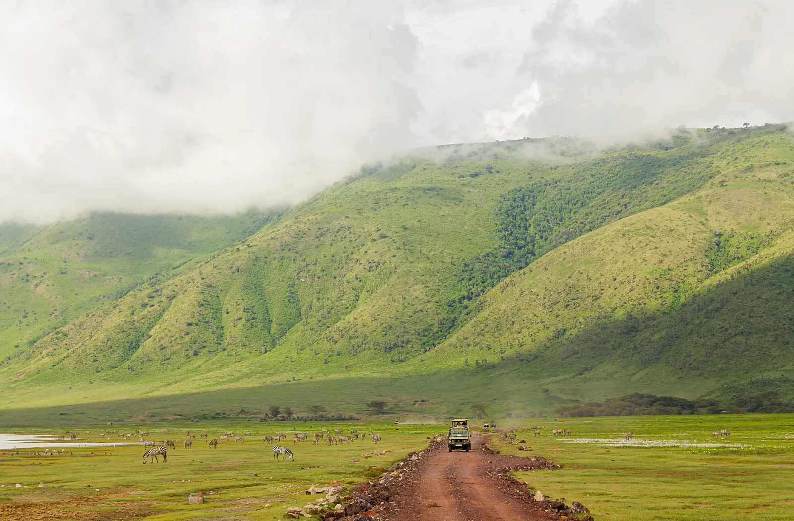 Serengeti vs Ngorongoro: Which Should You Choose?
